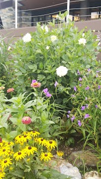 びわ湖バレイに投稿された画像（2023/8/10）