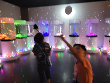 NARA KINGYO MUSEUMに投稿された画像（2023/8/10）