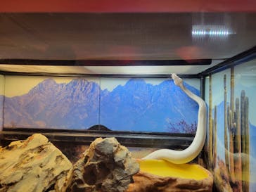 NARA KINGYO MUSEUMに投稿された画像（2023/8/10）