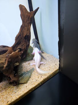 サンシャイン水族館に投稿された画像（2023/8/10）