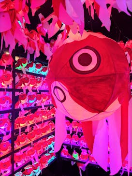 NARA KINGYO MUSEUMに投稿された画像（2023/8/10）