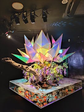 NARA KINGYO MUSEUMに投稿された画像（2023/8/10）