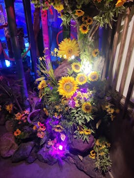 NARA KINGYO MUSEUMに投稿された画像（2023/8/10）