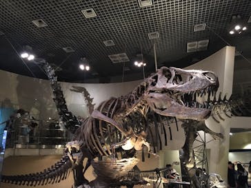 国立科学博物館に投稿された画像（2023/8/10）