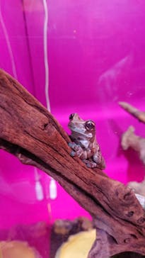 サンシャイン水族館に投稿された画像（2023/8/10）