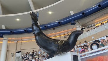 アクアワールド茨城県大洗水族館に投稿された画像（2023/8/10）