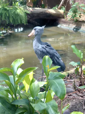 神戸どうぶつ王国に投稿された画像（2023/8/10）