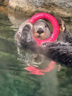 マリンワールド海の中道に投稿された画像（2023/8/10）