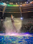 マクセル アクアパーク品川に投稿された画像（2023/8/10）