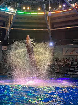 マクセル アクアパーク品川に投稿された画像（2023/8/10）