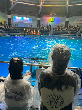 マクセル アクアパーク品川に投稿された画像（2023/8/10）