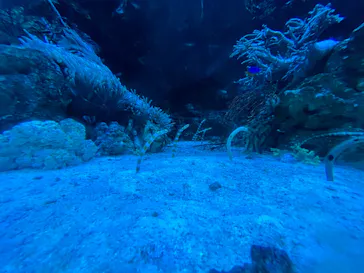 マクセル アクアパーク品川に投稿された画像（2023/8/10）