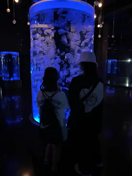 マクセル アクアパーク品川に投稿された画像（2023/8/10）