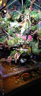 NARA KINGYO MUSEUMに投稿された画像（2023/8/10）