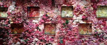 NARA KINGYO MUSEUMに投稿された画像（2023/8/10）