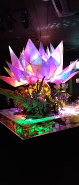 NARA KINGYO MUSEUMに投稿された画像（2023/8/10）