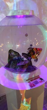 NARA KINGYO MUSEUMに投稿された画像（2023/8/10）