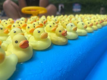 日本モンキーパークに投稿された画像（2023/8/10）