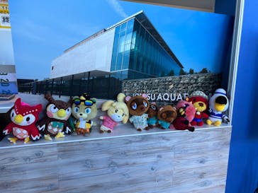 上越市立水族博物館 うみがたりに投稿された画像（2023/8/10）