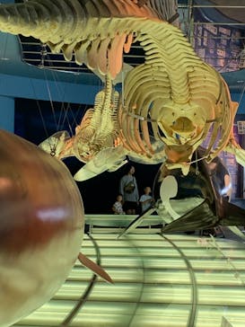 名古屋港水族館に投稿された画像（2023/8/10）