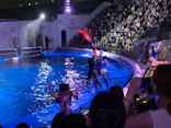 仙台うみの杜水族館に投稿された画像（2023/8/10）