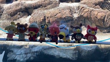 上越市立水族博物館 うみがたりに投稿された画像（2023/8/10）