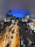 福井県立恐竜博物館に投稿された画像（2023/8/10）