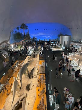 福井県立恐竜博物館に投稿された画像（2023/8/10）