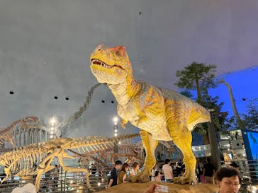 福井県立恐竜博物館に投稿された画像（2023/8/10）