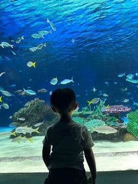 サンシャイン水族館に投稿された画像（2023/8/10）