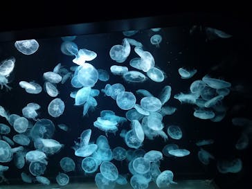 AOAO SAPPOROに投稿された画像（2023/8/10）