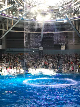 マクセル アクアパーク品川に投稿された画像（2023/8/10）