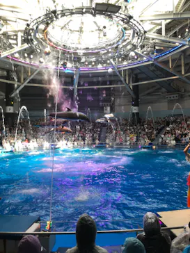 マクセル アクアパーク品川に投稿された画像（2023/8/10）