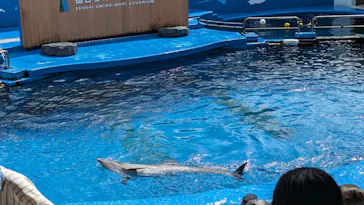 仙台うみの杜水族館に投稿された画像（2023/8/10）
