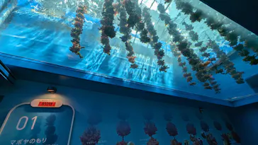 仙台うみの杜水族館に投稿された画像（2023/8/10）