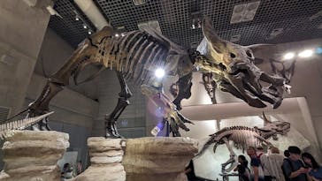 国立科学博物館に投稿された画像（2023/8/10）