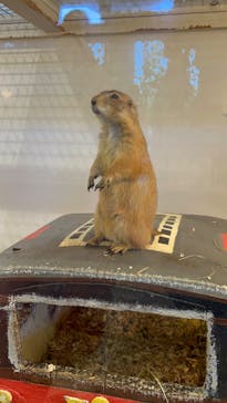 アニタッチみなとみらいに投稿された画像（2023/8/10）