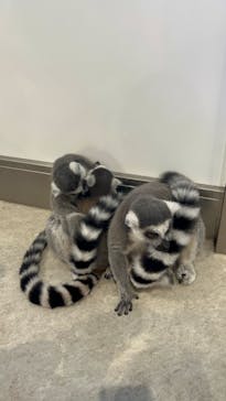 アニタッチみなとみらいに投稿された画像（2023/8/10）