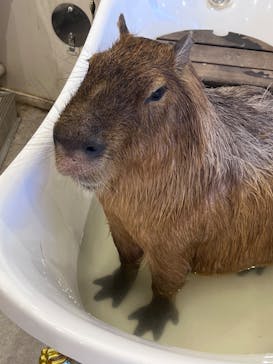 アニタッチみなとみらいに投稿された画像（2023/8/10）