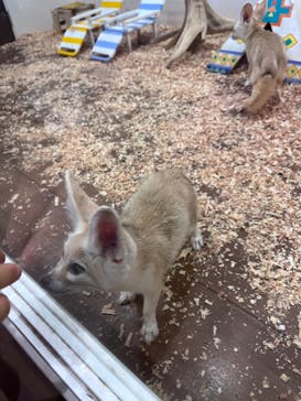 アニタッチみなとみらいに投稿された画像（2023/8/10）