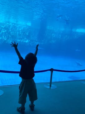 名古屋港水族館に投稿された画像（2023/8/10）