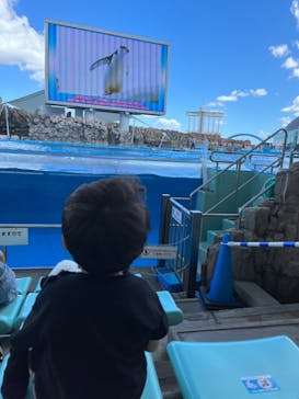 名古屋港水族館に投稿された画像（2023/8/10）