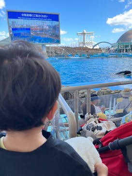名古屋港水族館に投稿された画像（2023/8/10）