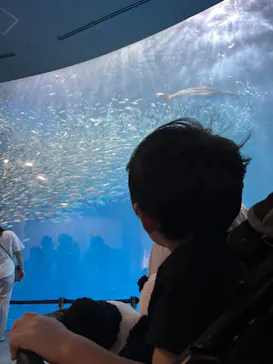 名古屋港水族館に投稿された画像（2023/8/10）