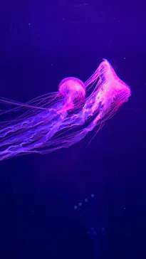 すみだ水族館に投稿された画像（2023/8/10）