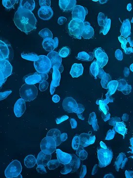 すみだ水族館に投稿された画像（2023/8/10）