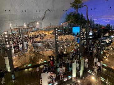 福井県立恐竜博物館に投稿された画像（2023/8/10）