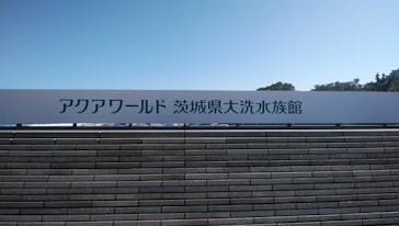 アクアワールド茨城県大洗水族館に投稿された画像（2023/8/10）