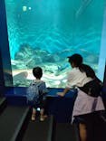 アクアワールド茨城県大洗水族館に投稿された画像（2023/8/11）