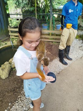 美らヤシパークオキナワ・東南植物楽園に投稿された画像（2022/11/21）